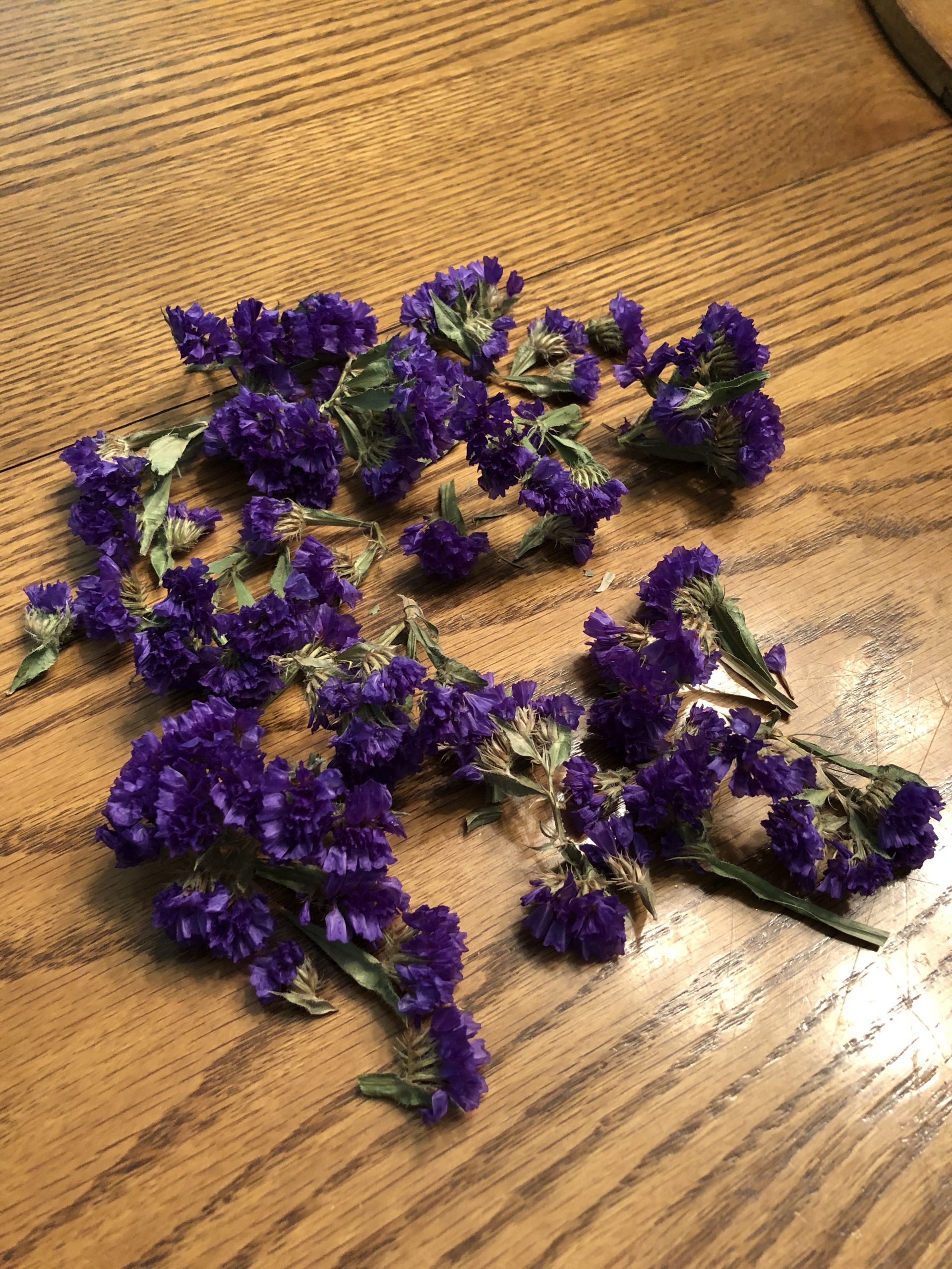 dried purple flowers